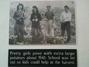 "Pretty girls pose with extra large potatoes about 1943. School was let out so kids could help in the harvest."