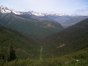 Photo of scenery in Glacier National Park.