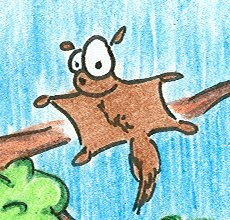 Cartoon on flying squirrel.