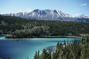 Scenic view of bright blue water surrounded by beautiful snow-capped mountains and greenery.