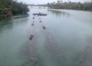 Image of many rocks in alignment in the water