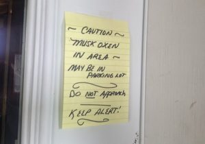 Image of a note posted that reads, " Caution musk oxen may be in parking lot. Do no approach. Keep Alert!"